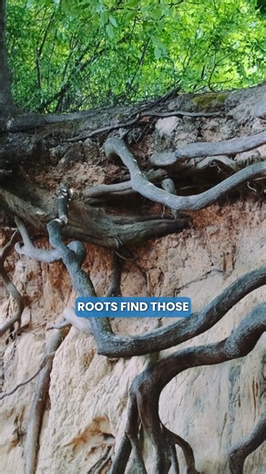 Your sewer line has a lifespan… and it might be running out. 🕰️ Let Krupp Whitney help with preventative care before costly repairs hit. ✅ Camera inspections ✅ Trenchless solutions ✅ Platinum Sewer Protection Plan that offers annual protection for your sewer. Let’s keep your pipes in check. 🛠️ #PreventativePlumbing #KruppWhitneyPlumbing #GreaterPittsburghPlumbing | Krupp Whitney Plumbing