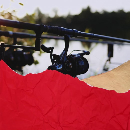 🎣 This fall, exciting fishing adventures await on Maryland waters! It’s the perfect season to plan a day trip or weekend getaway and enjoy unforgettable fishing. Choose from peaceful freshwater streams, well-stocked lakes, or the brackish tributaries of the Chesapeake Bay. And when you're not casting a line, take in the stunning fall scenery all around you. Get your license and get out there! https://ow.ly/R0yP50XjkIC | Maryland Department of Natural Resources