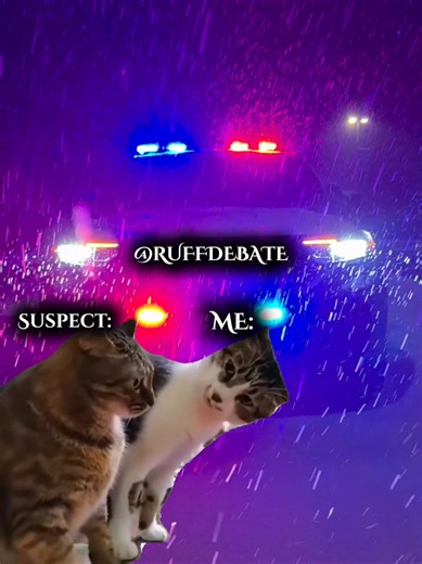 When you STOP a VEHICLE for EXPIRED INSPECTION STICKER from 2024 and the DRIVER tells YOU that THEY were ACTUALLY on THEIR way TO the MECHANIC SHOP before YOU PULLED them OVER. #richmondruffdaddy #ruffdebate #policecomedy #policehumor #policejobs