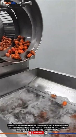 Innovation Technology Automatic Potato Cleaning System #tech