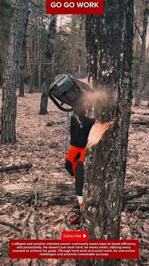 Professional Tree Cutting Chainsaw for Logging and Efficient Wood Harvesting in Forestry Work