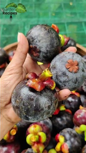 Mangosteen season is here💜