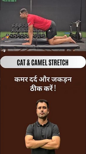 Cat and Camel Stretch | Reduce back pain and stiffness