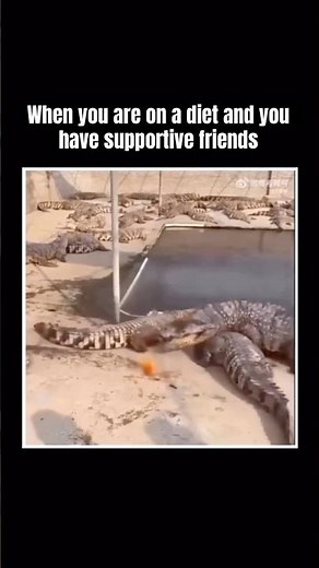A good support system is EVERYTHING