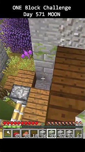 Day 571 Minecraft build challenge - ONE BLOCKS BUILD
