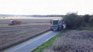 438K views · 2.4K reactions | Klasycznie w żniwa - pojawia się Claas :D Najnowszy model TRION ! Jasiu mówi, że Pan mi go pożyczył, a ja mówię, że zostaje po żniwach :) Same zobaczcie jak radził sobie w moim rzepaku ! CLAAS | Bardowscy | Facebook