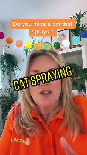 Understanding Cat Spraying Behavior: Tips and Solutions