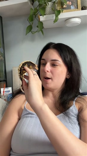 Why this handsome man is stealing the spotlight with pets