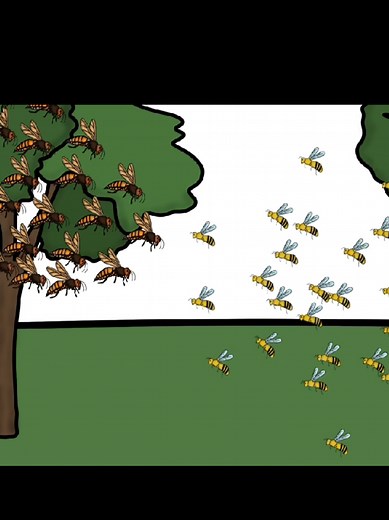 Challenges Faced By Giant Hornets in Nature
