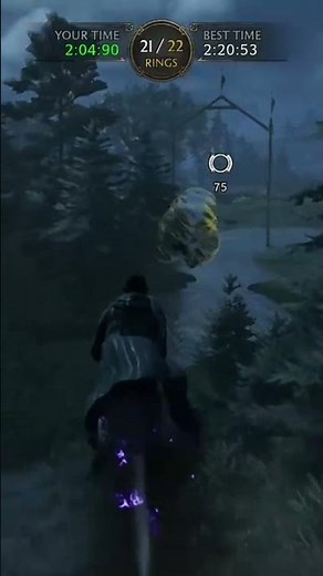 Hogwarts Legacy: Fastest Broom Wins!