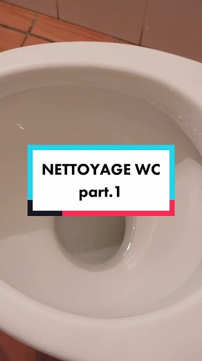 Comment Nettoyer la Cuvette des Toilettes avec Acide Citrique