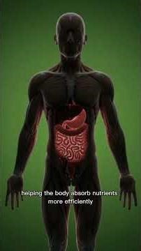 Milk Benefits for the Human Body | How Milk Affects Your Health