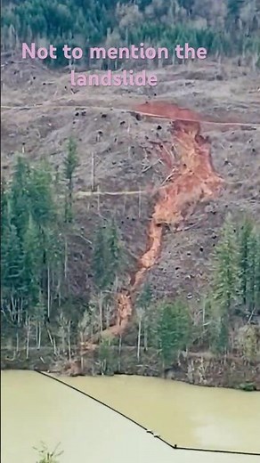 Amazing log jam in Estacada by Promentory Park #nature #clackamasriver