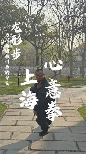 The Shanghai-style Xin Yi Liu He Quan originates from Zhoukou, Henan.
