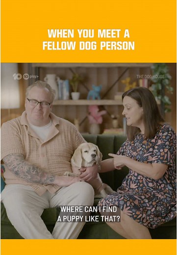 The Dog House Anthem: A Must-Listen for Dog Lovers