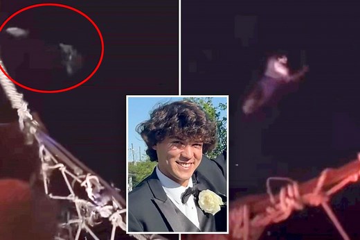 Viral video prompts speculation that Cameron Robbins was killed by a shark