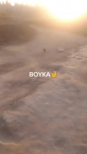 亗UZB亗BEHRUZ (@behruz1273)’s videos with