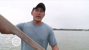 Sustainable shrimp farming in Ecuador