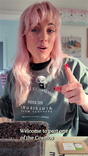 Cosmos Grow-Along: Get Started Early this Spring