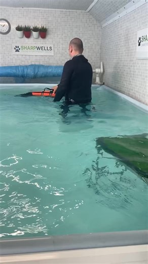 Did you know ❓🤔 Hydrotherapy is highly beneficial for dogs because the water's buoyancy supports their body weight, allowing for low-impact exercise that relieves pain, reduces inflammation, and strengthens muscles without straining joints. It is ideal for rehabilitation after injury or surgery, managing arthritis, and promoting weight loss. Sharpwells K9 Hydro therapy looked after some of our dogs really well in the past. If you think hydrotherapy is something your dog would benefit from, why 