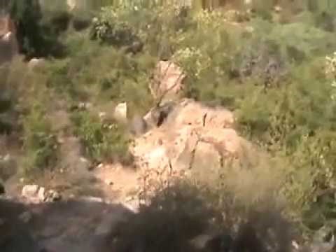 Sri Konganar Siddhar