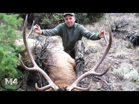 Big Game Unit 66 & 67: Elk