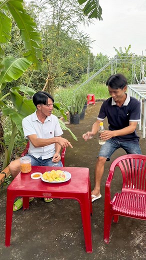 1.2M views · 20K reactions | Tình cờ Phong báo gặp lại Cậu 7 #danphong | Dân Phong | Facebook