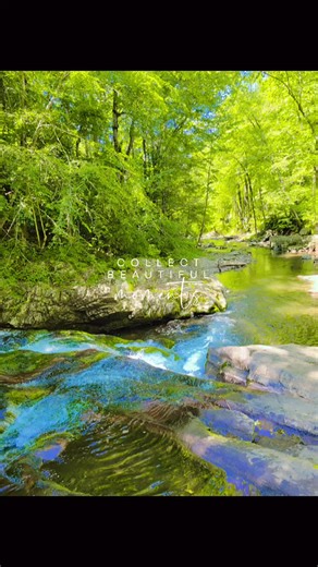 Smokey Mountains in Tennessee. What a great adventure. #smokeymountains #gatlinburg #hikingadventures #tennessee #adventureswithpurpose