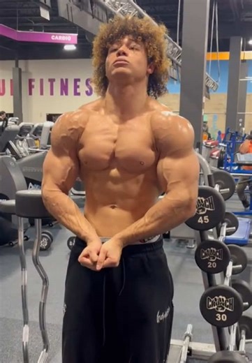 Exploring Shoulder Development in Fitness Training