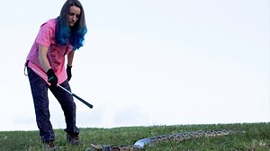 The 2022 Florida Python Challenge is on - big pythons, big prizes