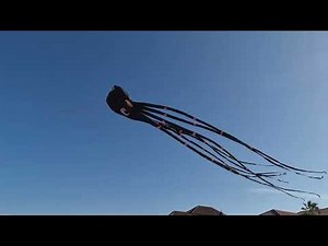 Giant black 8 meter octopus kite.