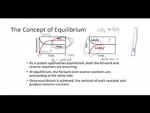 Introduction to Chemical Equilibrium: General Chemistry Lecture