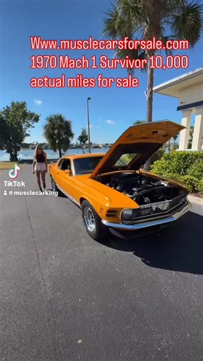 17 reactions | Muscle Cars for Sale Inc. on Reels | Facebook