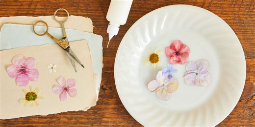 Create Pretty Pressed Flowers