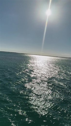 Explore the Beauty of Caribbean Beaches