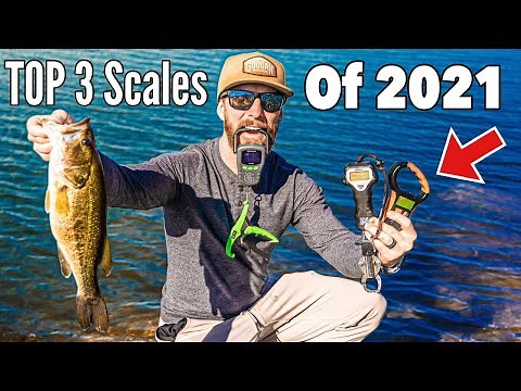 How To Weigh Fish & Hold A Bass Properly (fishing tutorial) Best Scales of 2021