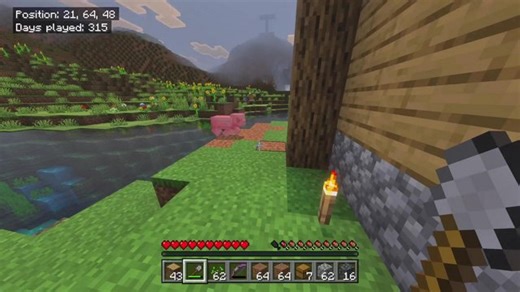 Building a City in MINECRAFT