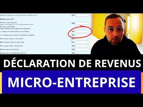 Micro-Entrepreneur : Comment Remplir votre Déclaration de Revenus 2026 Sans Faire d’Erreur