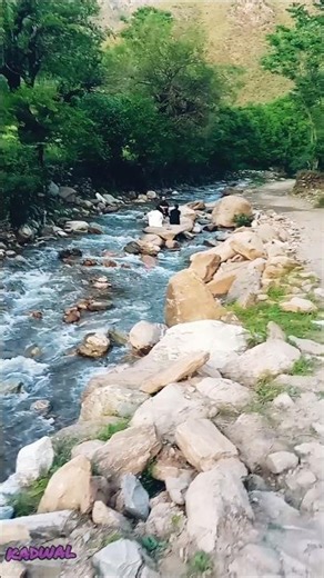 Refreshing Spring Water Streams in the Heart of Spring