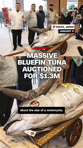Tokyo's renowned Toyosu fish market saw its second-highest price on record for this massive bluefin tuna that auctioned for over $1 million. | CNN International