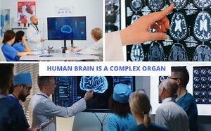 Educational Channel Promo | Renderforest