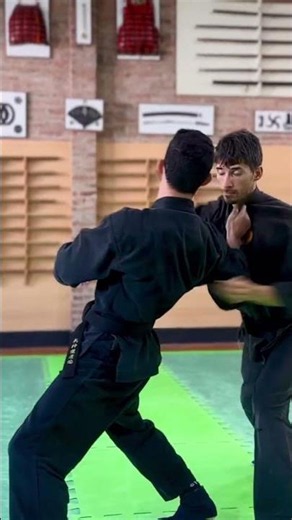 Shinden Fudō-ryū Dakentaijutsu