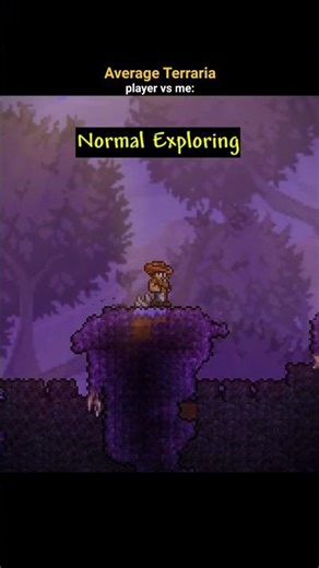 Normal Terraria Players vs Me!