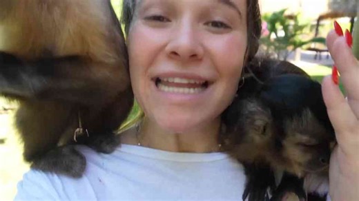 A close look at the work behind keeping baby monkeys healthy