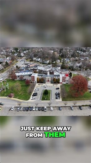 Drone Flying: Avoid Bird Attacks & Obstacles! #shorts