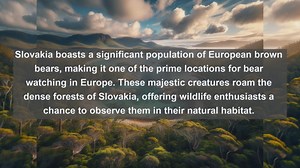 Exploring Slovakias Natural Wonders: Top 10 Native Animals