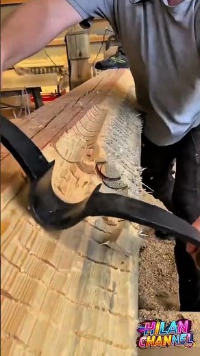How Traditional Woodworking Adzes Curve and Hollow Massive Logs