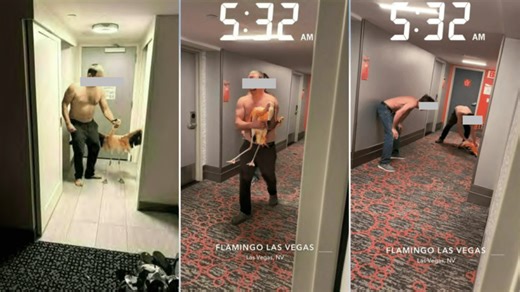 Tourist stole, tortured flamingo at iconic Las Vegas Strip hotel: Police