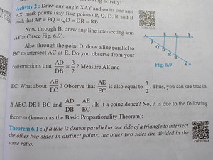 Geometry Activity: Basic Proportionality TheoremDraw any angl... | Filo