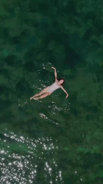 Best Time to Travel to Socotra Island - Weather, Flora, and Fauna